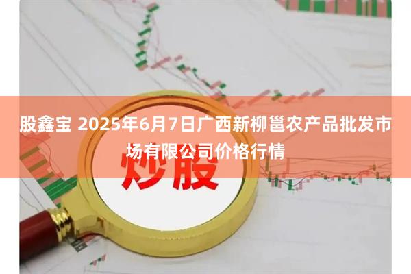 股鑫宝 2025年6月7日广西新柳邕农产品批发市场有限公司价格行情