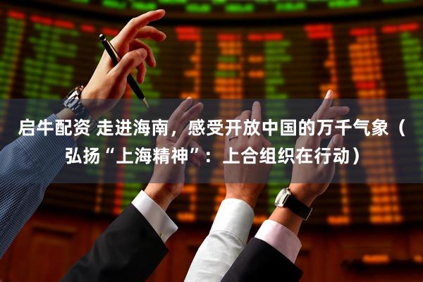 启牛配资 走进海南，感受开放中国的万千气象（弘扬“上海精神”：上合组织在行动）