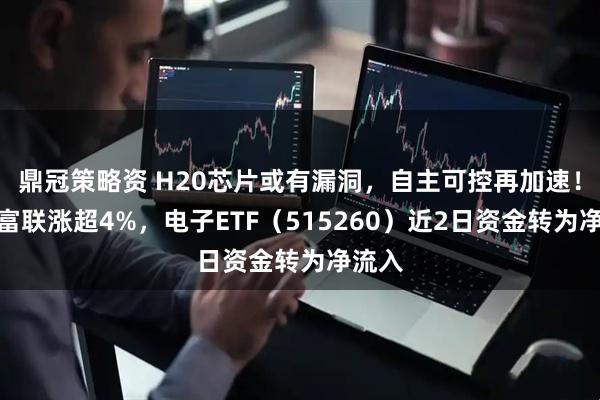 鼎冠策略资 H20芯片或有漏洞，自主可控再加速！工业富联涨超4%，电子ETF（515260）近2日资金转为净流入