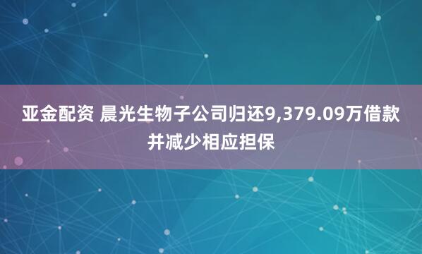 亚金配资 晨光生物子公司归还9,379.09万借款并减少相应担保