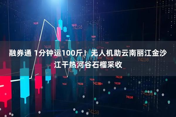 融券通 1分钟运100斤！无人机助云南丽江金沙江干热河谷石榴采收