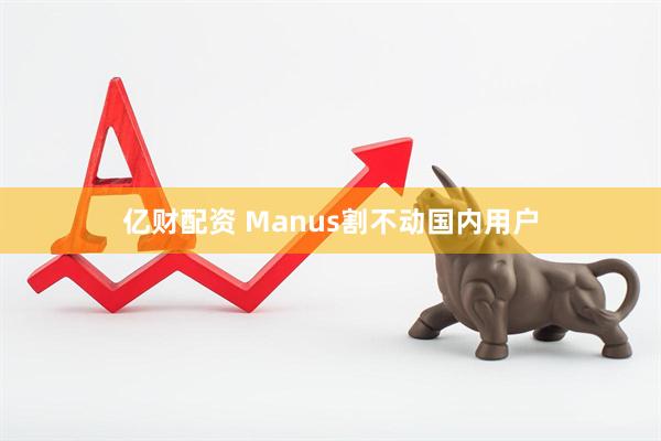 亿财配资 Manus割不动国内用户