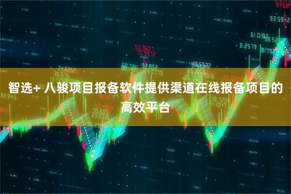 智选+ 八骏项目报备软件提供渠道在线报备项目的高效平台